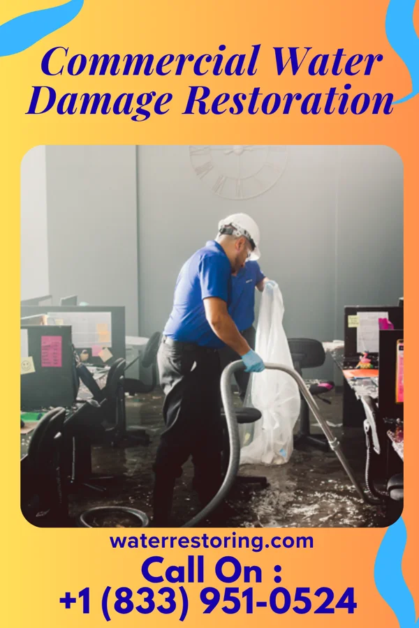 Commercial Water Damage Restoration in Pea Ridge, AL