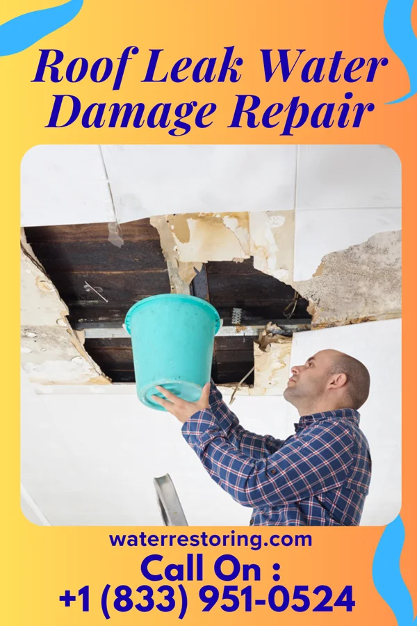 Roof Leak Water Damage Repair in Pea Ridge, AL